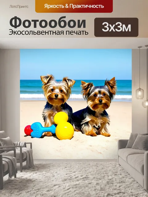 Фотообои йоркширские терьеры на пляже с игрушками