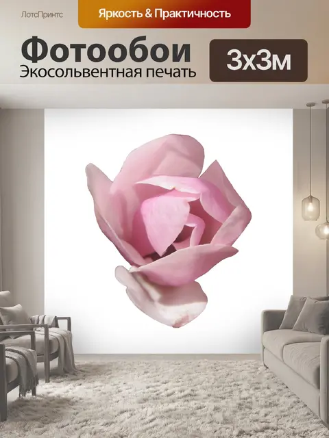 Фотообои Магнолия