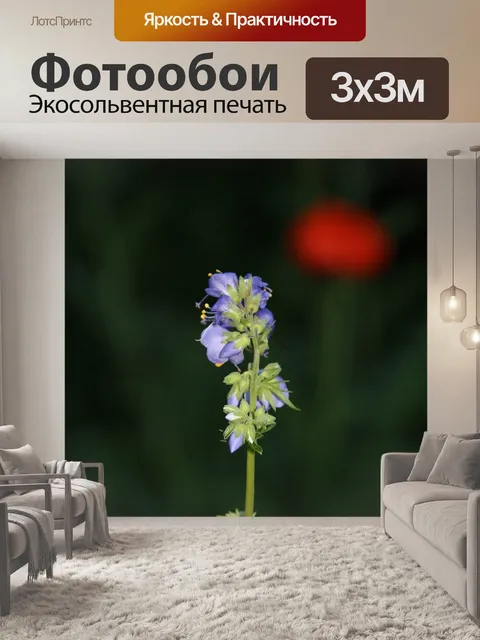 Фотообои Лестница иакова