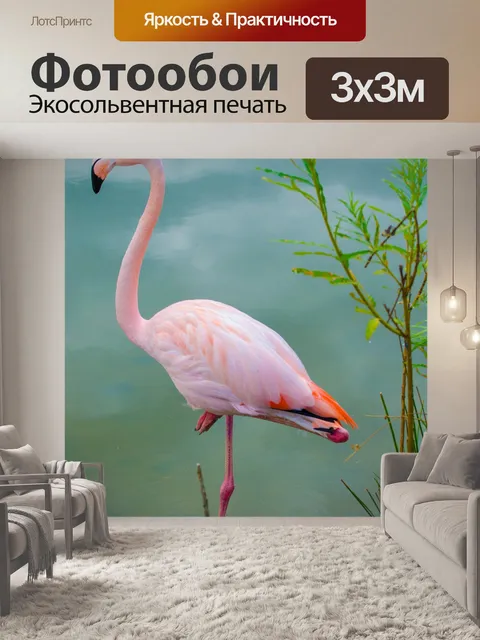 Фотообои Розовый фламинго