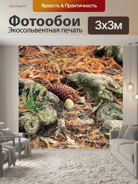 Фотообои Лесной пол осенью