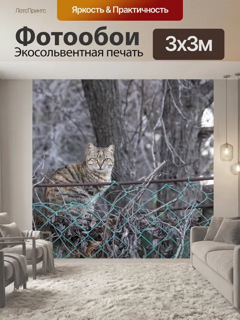 Фотообои Кошка