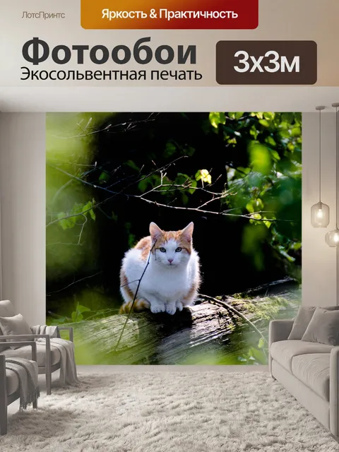 Фотообои Кот
