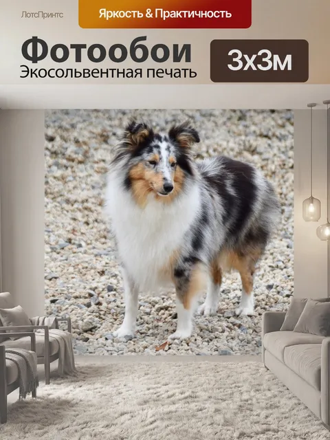 Фотообои Шелти