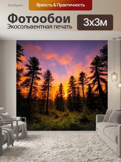 Фотообои лес с вечерним закатом, когда небо наполняется оранжевыми и фиолетовыми оттенками