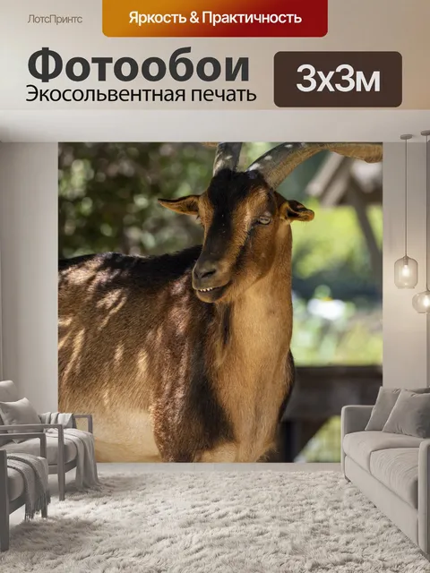 Фотообои горный козел