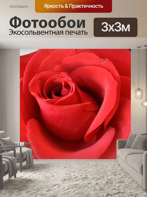 Фотообои Красная роза