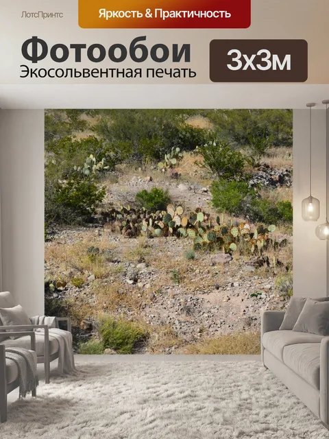 Фотообои Пустынных гор, зеленые растения Кактус