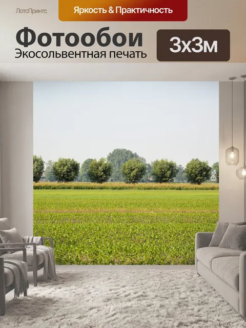 Фотообои Голландский сельский пейзаж