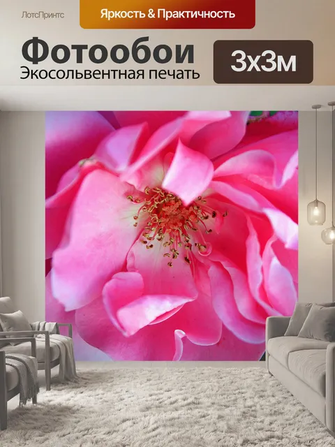 Фотообои яркие розы в розовом