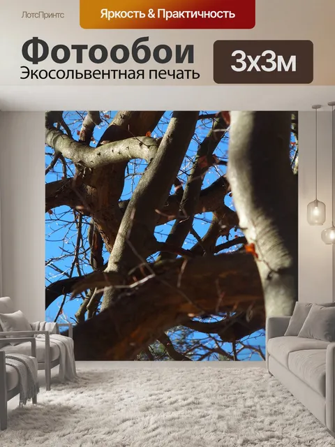 Фотообои Весна