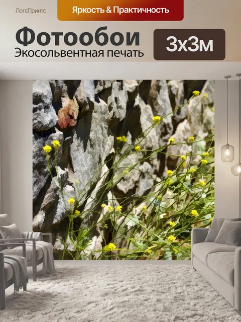 Фотообои Полевые цветы