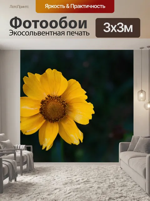 Фотообои Желтая ромашка закрыть
