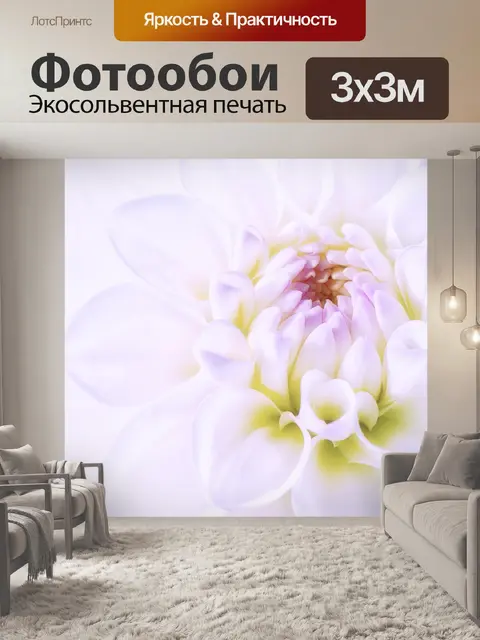 Фотообои Дали Блоссом цветок розовый
