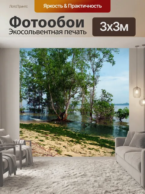 Фотообои Мангровые заросли