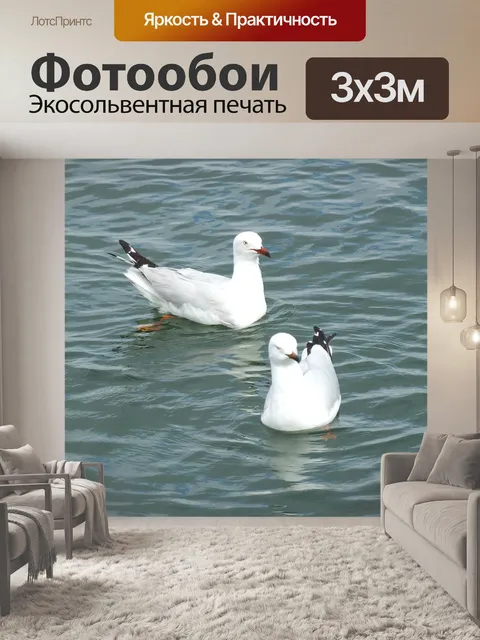 Фотообои Птица