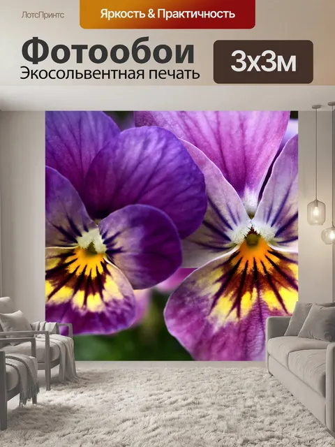 Фотообои Анютины глазки возбужденный фиолетовый ц