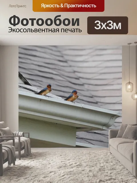 Фотообои Деревенские ласточки на крыше