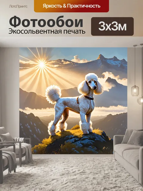 Фотообои пудель, стоящий на вершине горы, освещенный лучами восходящего солнца, с видом на потрясающий ландшафт…