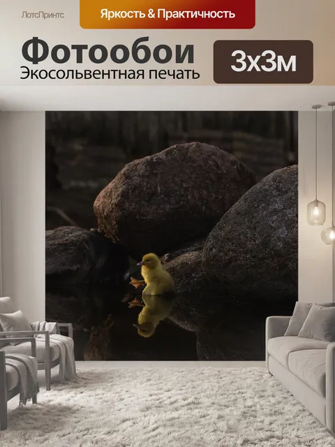 Фотообои Утка