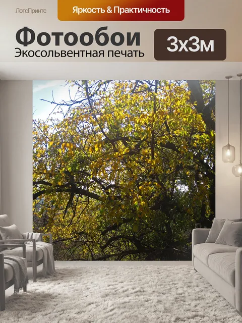 Фотообои желтые листья на дереве осенью