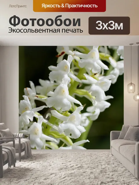 Фотообои Корень комара