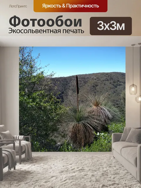Фотообои декорации