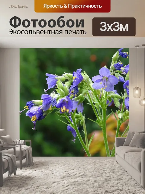 Фотообои Небесная лестница