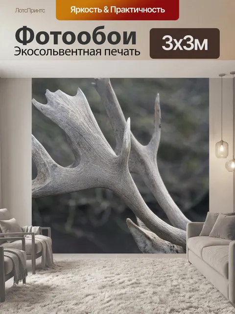 Фотообои Рог