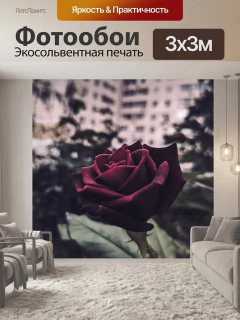 Фотообои Роза
