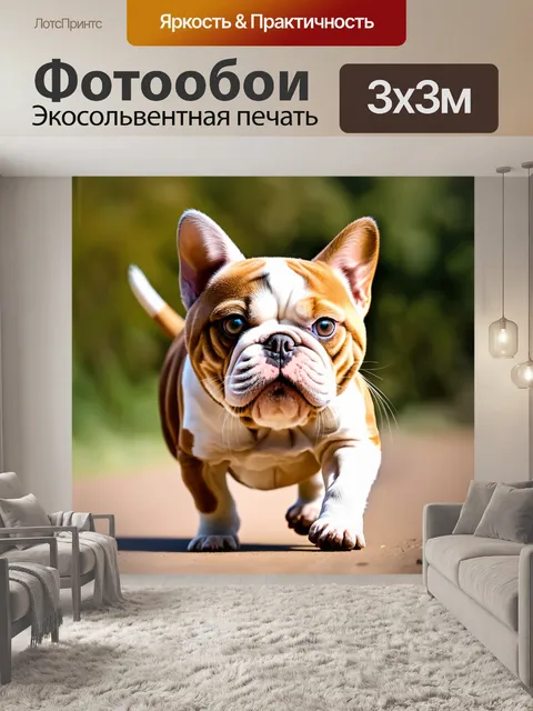 Фотообои изображение смешного бульдога, который "бежит" в ухе у маленького котика