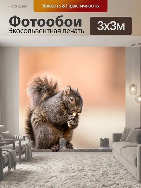 Фотообои белочка