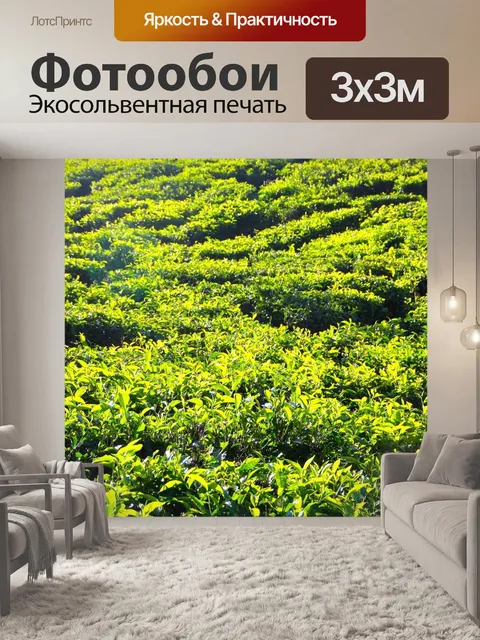 Фотообои Чай