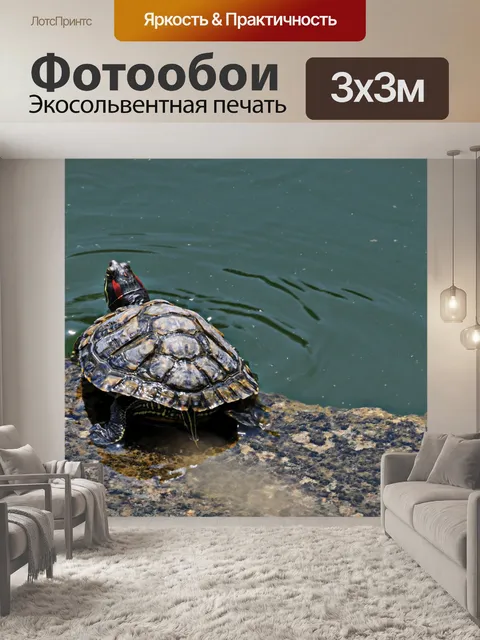 Фотообои Черепаха на берегу озера