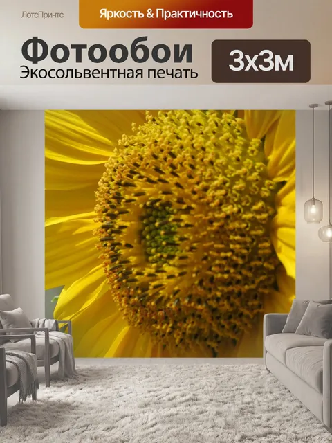 Фотообои Подсолнечник