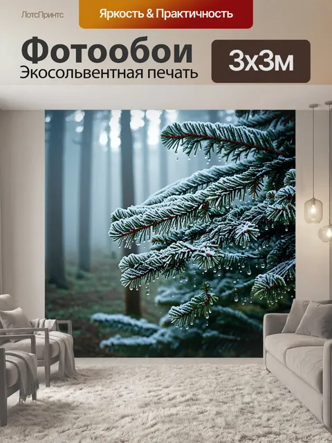 Фотообои далеко в лесу под густой завесой тумана стоят величественные ели