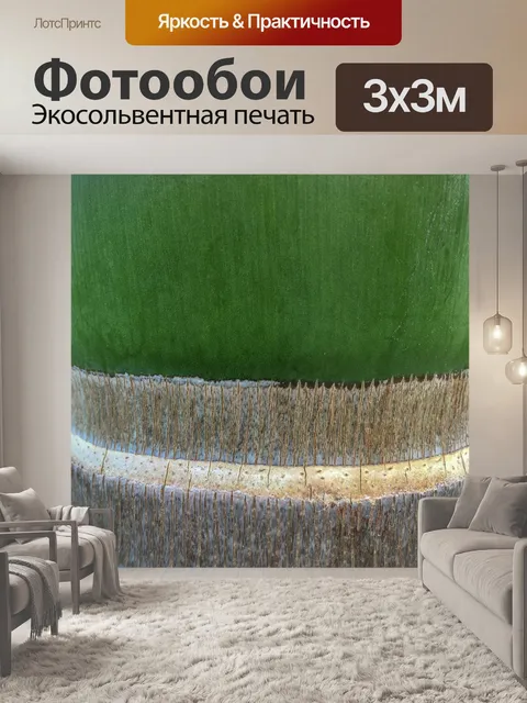 Фотообои Корова ладони