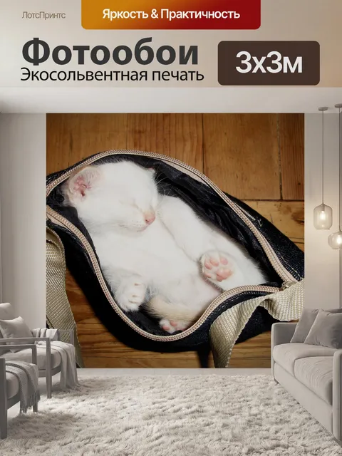 Фотообои Белый котенок