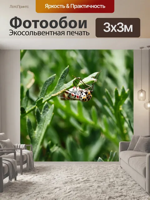 Фотообои Малиново-крапчатый моли-лакей