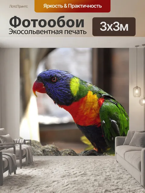 Фотообои Птица