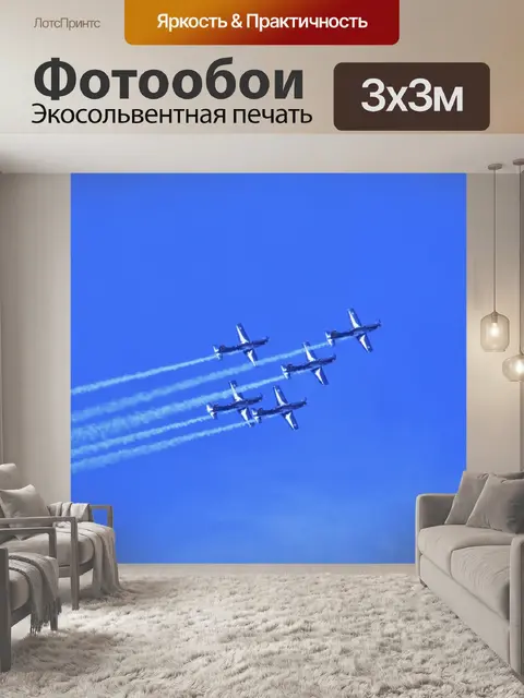 Фотообои серебро команда сокол в небе