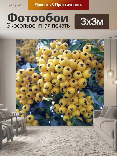 Фотообои Рябина