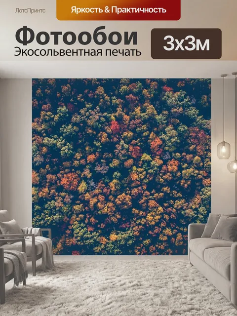 Фотообои Лес
