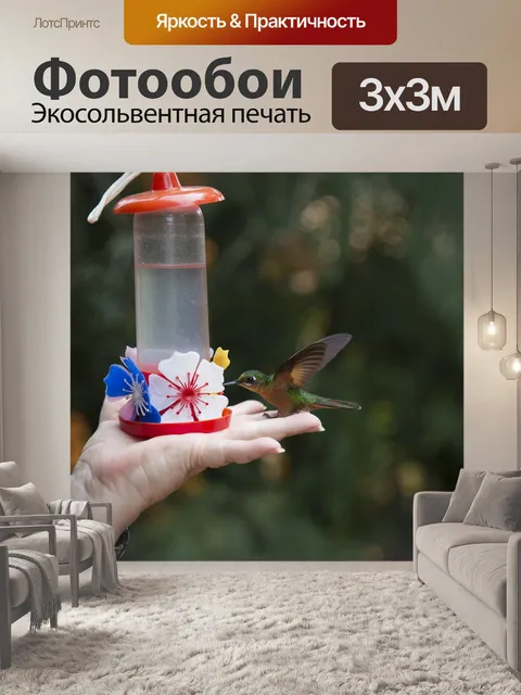 Фотообои Птица