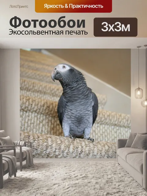 Фотообои Попугай