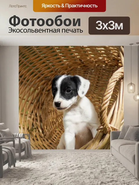 Фотообои Щенки