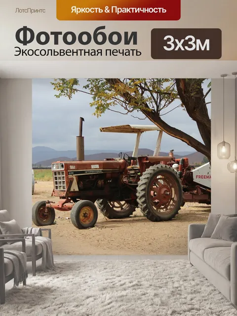 Фотообои Бесплодный