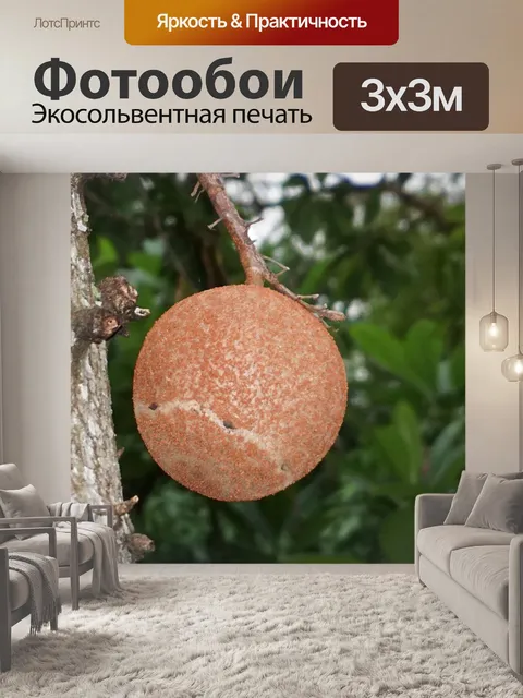Фотообои Пушечное ядро