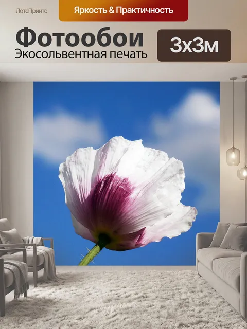 Фотообои Маки