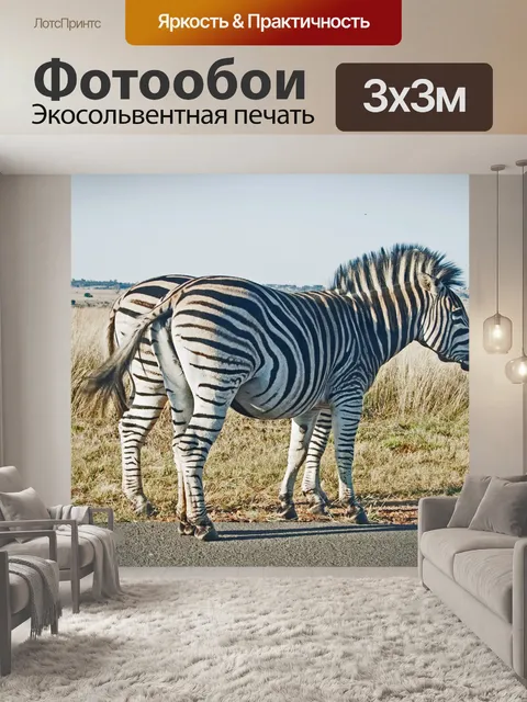 Фотообои зебры на дороге с вельда
